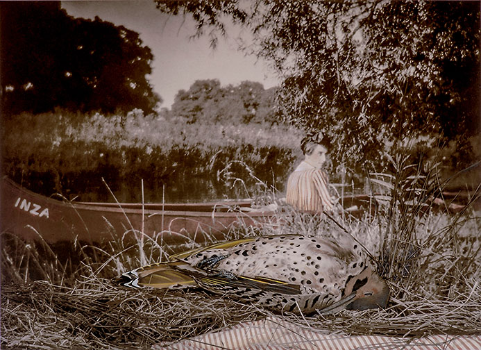 Gently Down the Stream