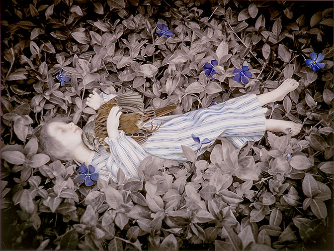 Pathos in the Periwinkle #2