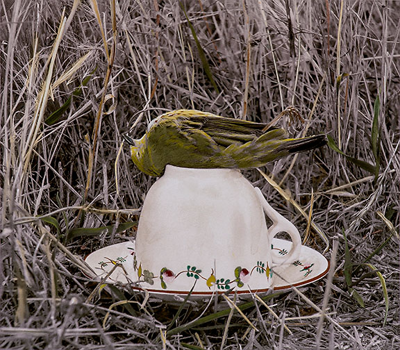 Tea and Testimony #2