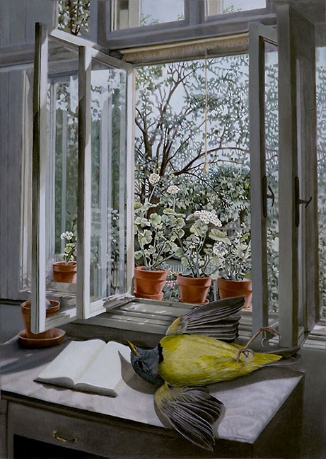 Openings (Mourning Warbler)