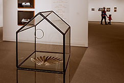 Embodied Ecologies at the MJMAG