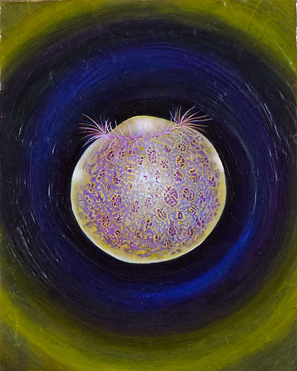 The Charm of the Light